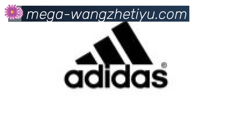 王者体育直播合作伙伴